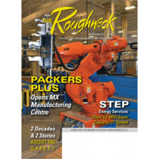 The Roughneck - Individual Issues